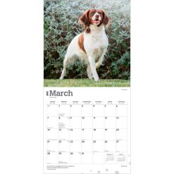 Brittanys 2027 Square Wall Calendar - Image 3