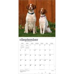 Brittanys 2027 Square Wall Calendar - Image 4