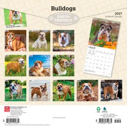 Alternative view of Bulldogs 2027 Square Wall Calendar