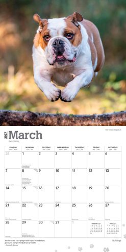 Bulldogs 2027 Square Wall Calendar - Image 3