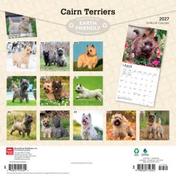 Alternative view of Cairn Terriers 2027 Square Wall Calendar