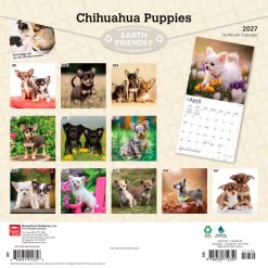Alternative view of Chihuahua Puppies 2027 Square Wall Calendar