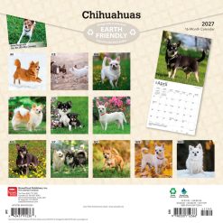 Alternative view of Chihuahuas 2027 Square Wall Calendar