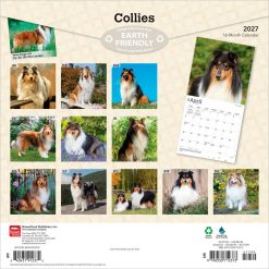 Alternative view of Collies 2027 Square Wall Calendar
