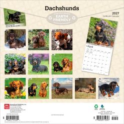 Alternative view of Dachshunds 2027 Square FOIL Wall Calendar