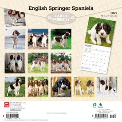 Alternative view of English Springer Spaniels 2027 Square Wall Calendar