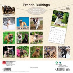 Alternative view of French Bulldogs 2027 Square Wall Calendar