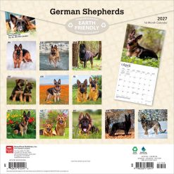 Alternative view of German Shepherds 2027 Square Wall Calendar
