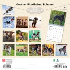Alternative view of German Shorthaired Pointers 2027 Square Wall Calendar