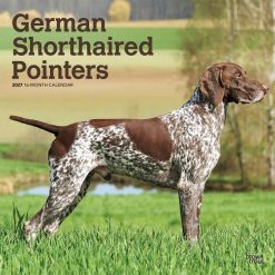 German Shorthaired Pointers 2027 Square Wall Calendar