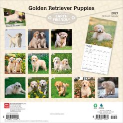 Alternative view of Golden Retriever Puppies 2027 Square Wall Calendar