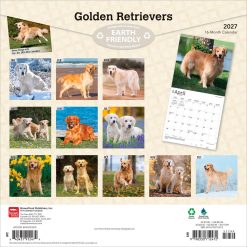 Alternative view of Golden Retrievers 2027 Square FOIL Wall Calendar