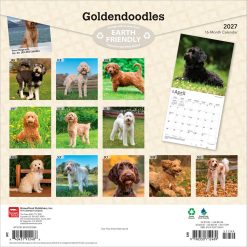 Alternative view of Goldendoodles 2027 Square Wall Calendar