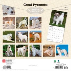 Alternative view of Great Pyrenees 2027 Square Wall Calendar