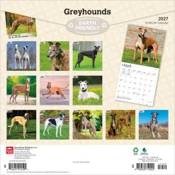 Alternative view of Greyhounds 2027 Square Wall Calendar