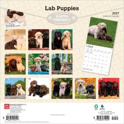 Alternative view of Labrador Retriever Puppies 2027 Square Wall Calendar