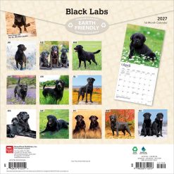 Alternative view of Labrador Retrievers, Black 2027 Square Wall Calendar