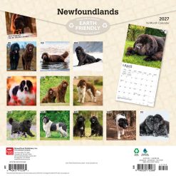 Alternative view of Newfoundlands 2027 Square Wall Calendar
