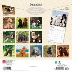 Alternative view of Poodles 2027 Square Wall Calendar