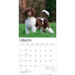 Poodles 2027 Square Wall Calendar - Image 3