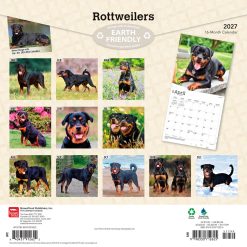 Alternative view of Rottweilers 2027 Square Wall Calendar