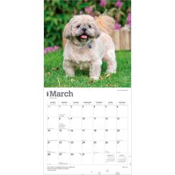 Shih Tzu 2027 Square Wall Calendar - Image 3