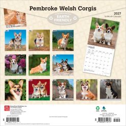 Alternative view of Welsh Corgis, Pembroke 2027 Square Wall Calendar