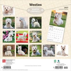 Alternative view of West Highland White Terriers 2027 Square Wall Calendar