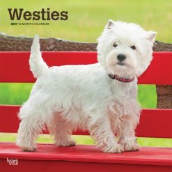 West Highland White Terriers 2027 Square Wall Calendar