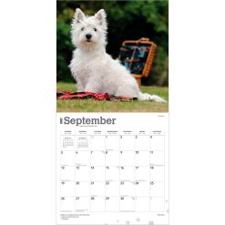 West Highland White Terriers 2027 Square Wall Calendar - Image 4