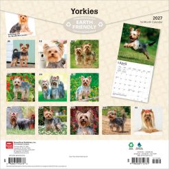 Alternative view of Yorkshire Terriers 2027 Square Wall Calendar
