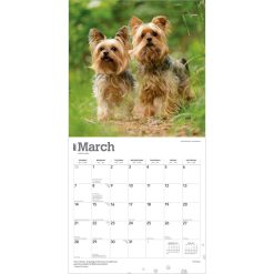 Yorkshire Terriers 2027 Square Wall Calendar - Image 3