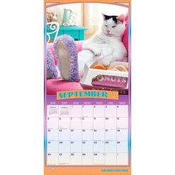 Avanti Cranky Kitties 2027 Square FOIL Wall Calendar - Image 4