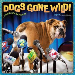 Avanti Dogs Gone Wild 2027 Square Wall Calendar