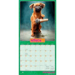 Avanti Dogs Gone Wild 2027 Square Wall Calendar - Image 3