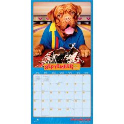 Avanti Dogs Gone Wild 2027 Square Wall Calendar - Image 4