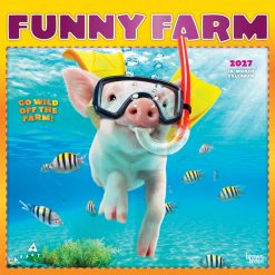 Avanti Funny Farm 2027 Square FOIL Wall Calendar