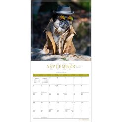 Fantasy Pugs 2027 Square FOIL Wall Calendar - Image 4
