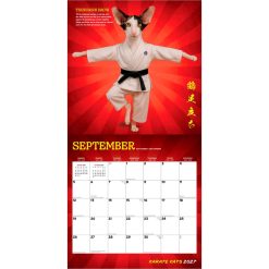 Karate Kats 2027 Square Wall Calendar - Image 4