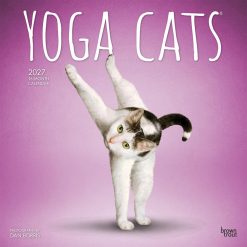 Yoga Cats 2027 Square Wall Calendar