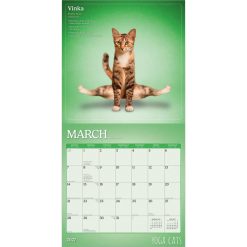 Yoga Cats 2027 Square Wall Calendar - Image 3
