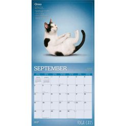 Yoga Cats 2027 Square Wall Calendar - Image 4