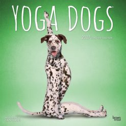 Yoga Dogs 2027 Square Wall Calendar
