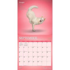 Yoga Dogs 2027 Square Wall Calendar - Image 4