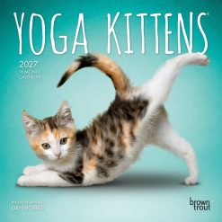 Yoga Kittens 2027 Mini Wall Calendar