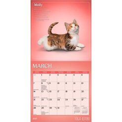 Yoga Kittens 2027 Mini Wall Calendar - Image 3