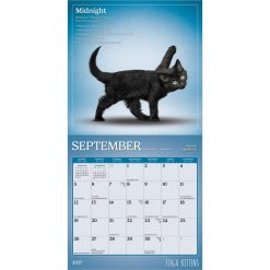 Yoga Kittens 2027 Mini Wall Calendar - Image 4