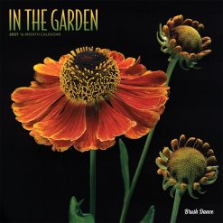 In the Garden 2027 Square Brush Dance Wall Calendar
