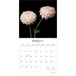 In the Garden 2027 Square Brush Dance Wall Calendar - Image 3