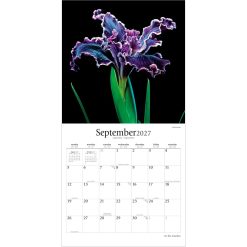 In the Garden 2027 Square Brush Dance Wall Calendar - Image 4
